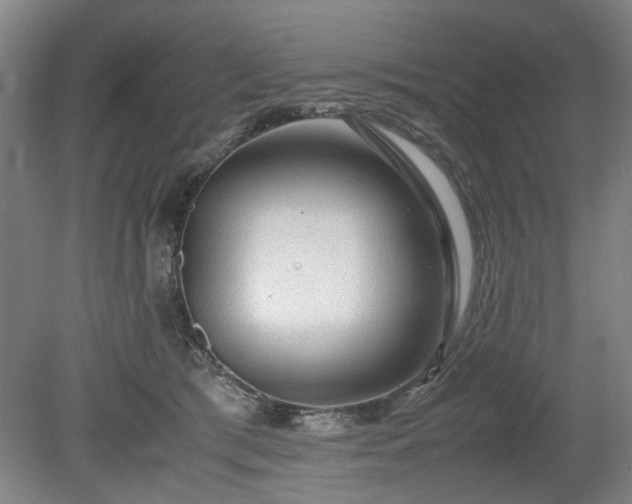 X0000078860417200611201318