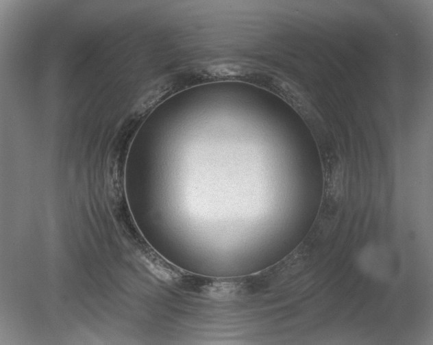 X0000078860418200611201318