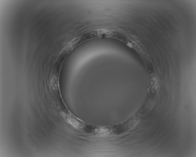 X0000078860419200611201318