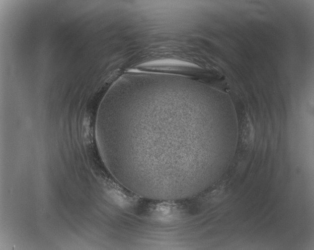 X0000078860420200611201318