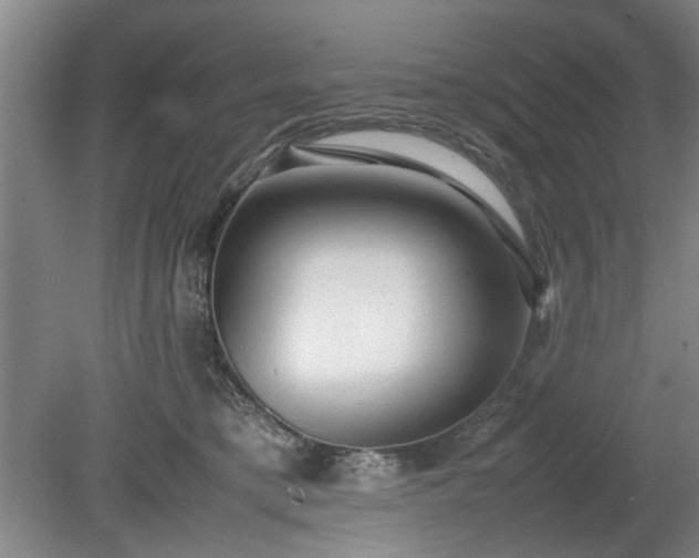 X0000078860421200611201318