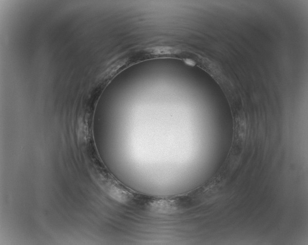 X0000078860422200611201318