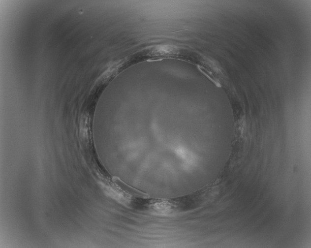 X0000078860423200611201318