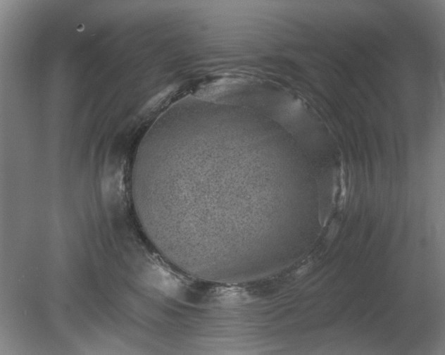 X0000078860424200611201318