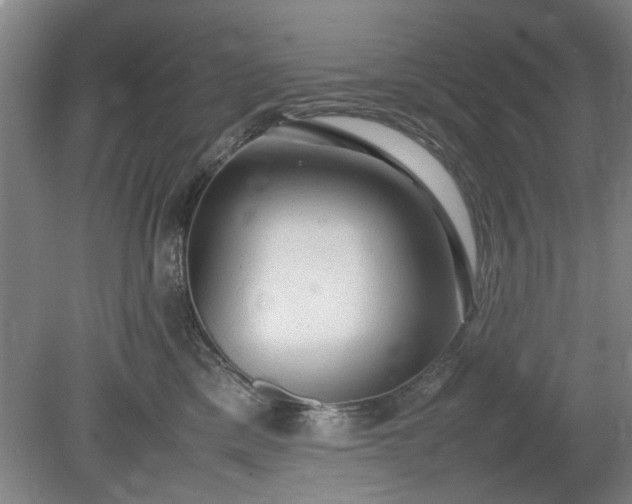 X0000078860425200611201318