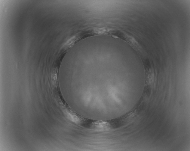 X0000078860427200611201318