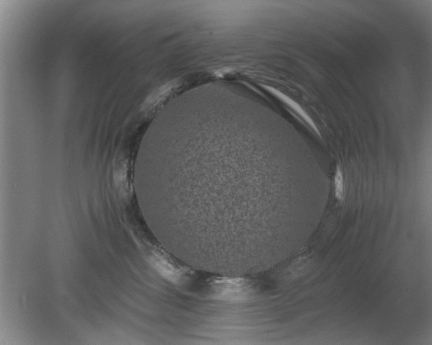 X0000078860428200611201318