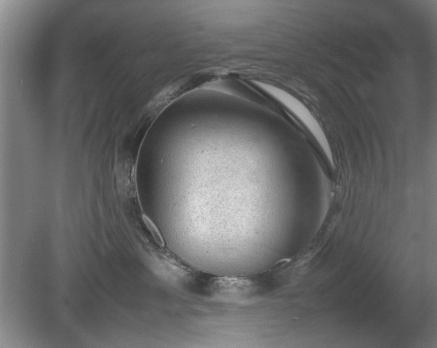 X0000078860429200611201318