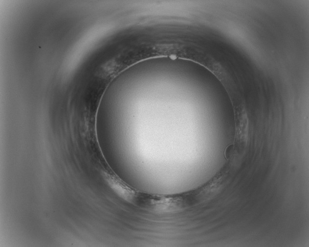 X0000078860430200611201318