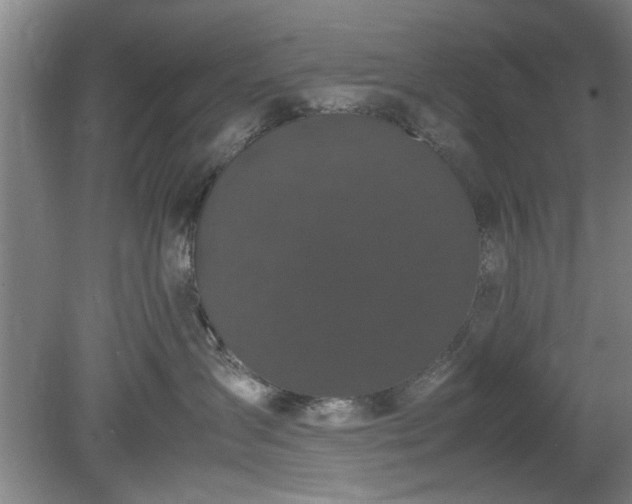 X0000078860431200611201318