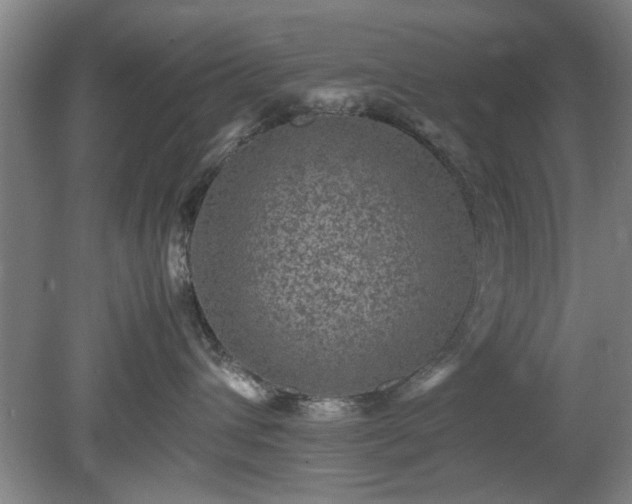 X0000078860432200611201318