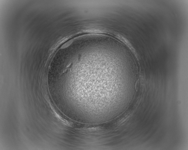 X0000078860433200611201317