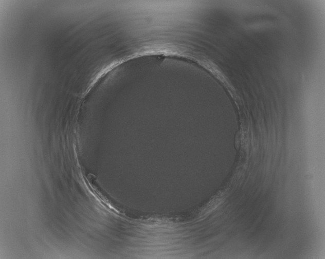 X0000078860434200611201317