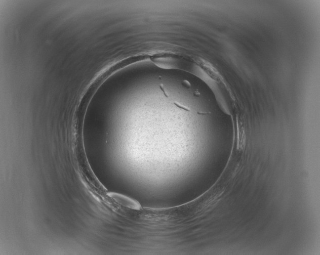 X0000078860435200611201317