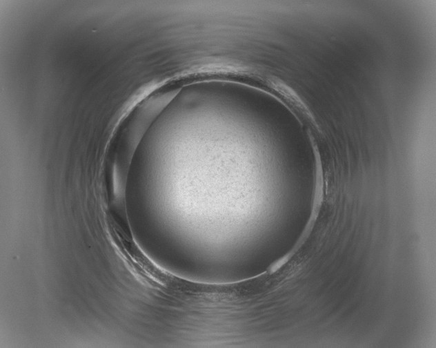 X0000078860436200611201317