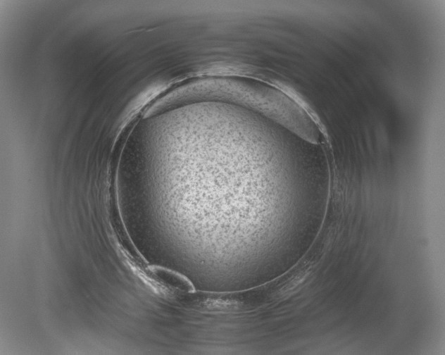 X0000078860437200611201317