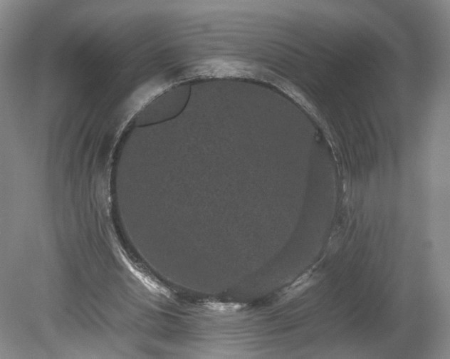 X0000078860438200611201317