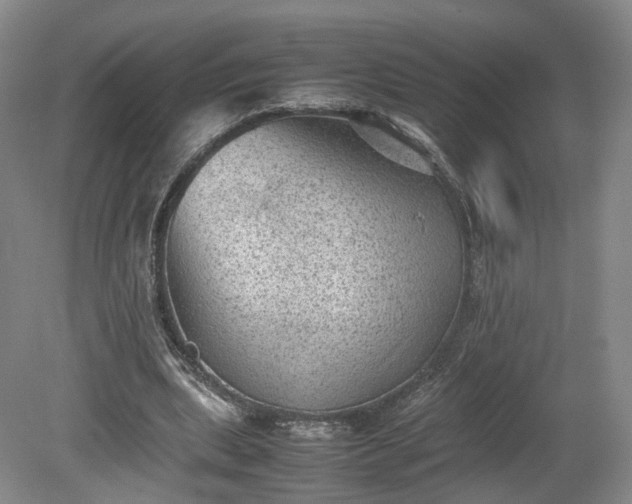 X0000078860439200611201317