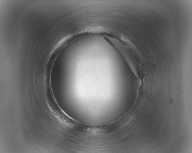 X0000078860440200611201317