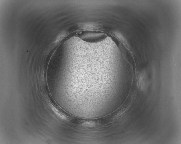 X0000078860441200611201317