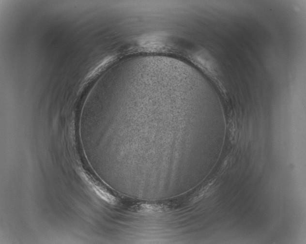 X0000078860442200611201317