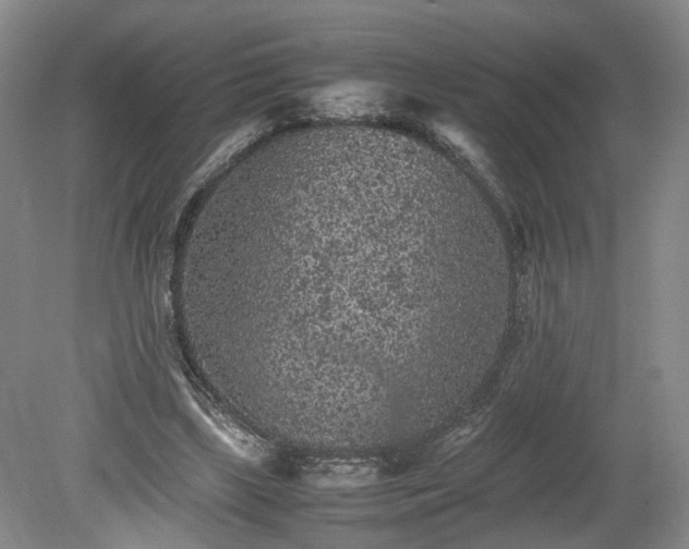 X0000078860443200611201317