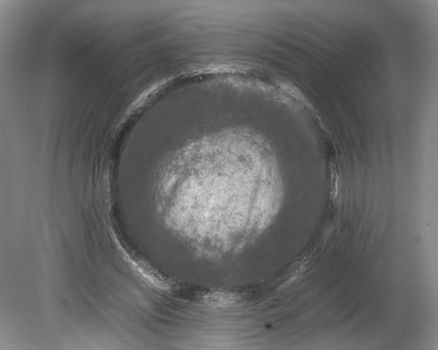 X0000078860444200611201317