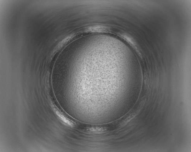 X0000078860445200611201317