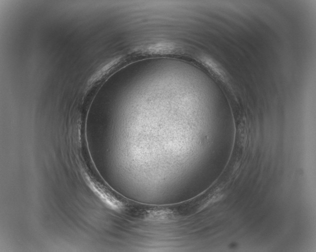 X0000078860446200611201317