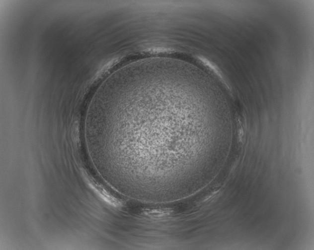 X0000078860447200611201317