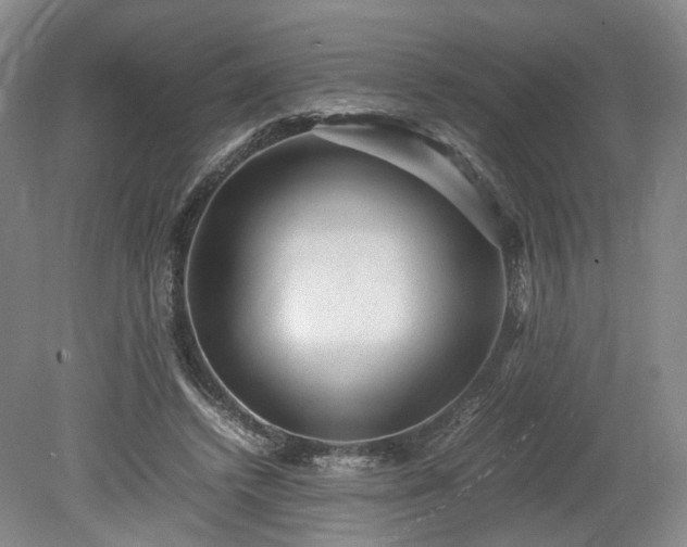 X0000078860448200611201318