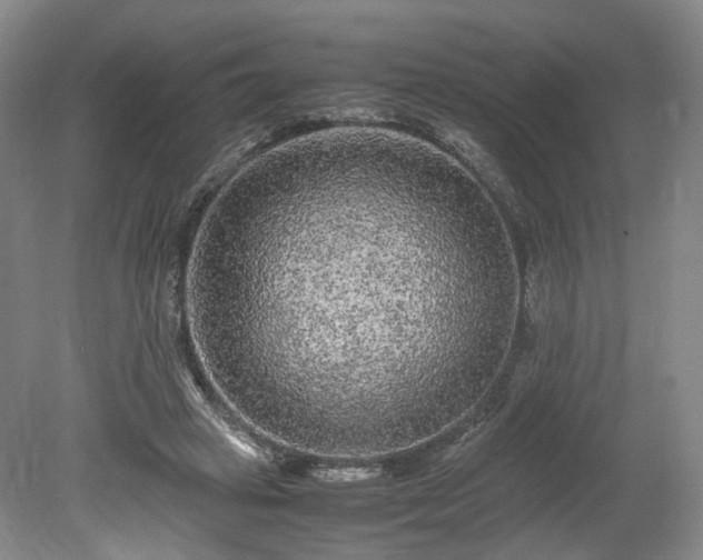 X0000078860449200611201318