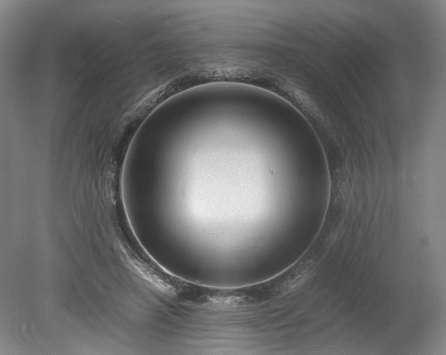 X0000078860450200611201318