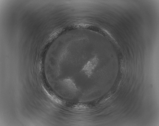 X0000078860451200611201318