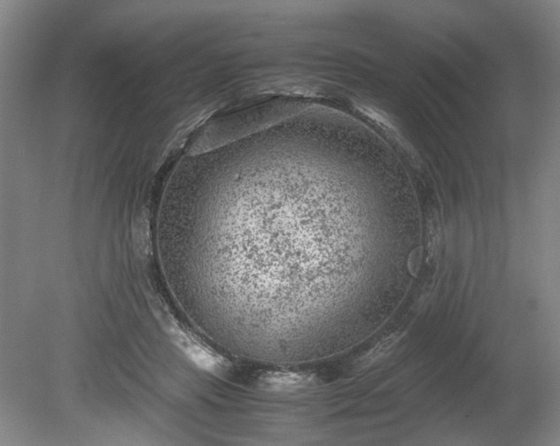 X0000078860453200611201318