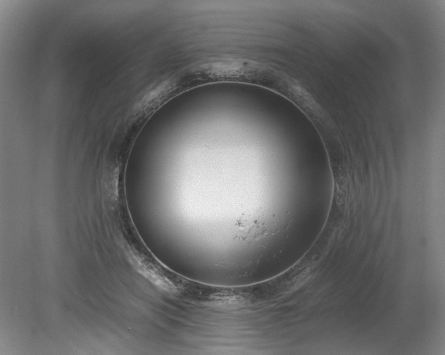 X0000078860454200611201318