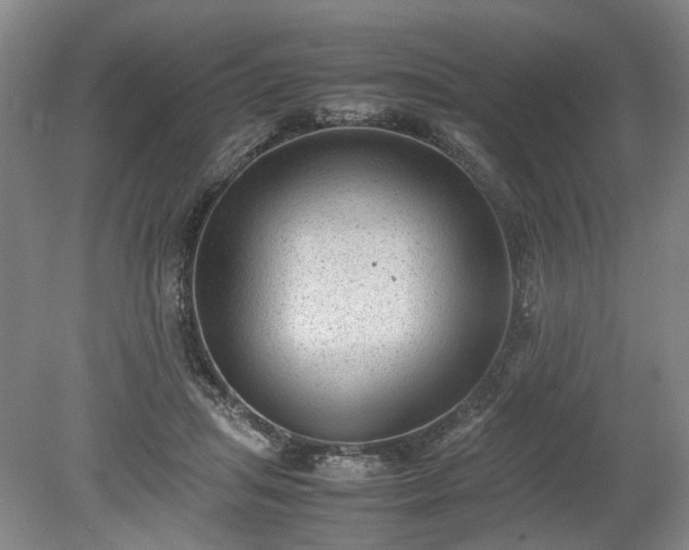 X0000078860455200611201318