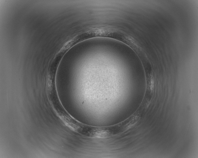 X0000078860456200611201318