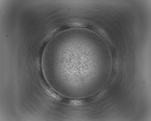 X0000078860457200611201318