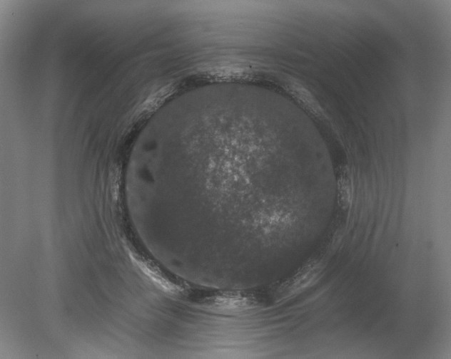 X0000078860458200611201318