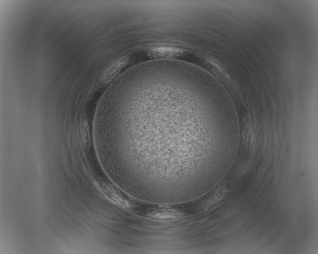 X0000078860459200611201318