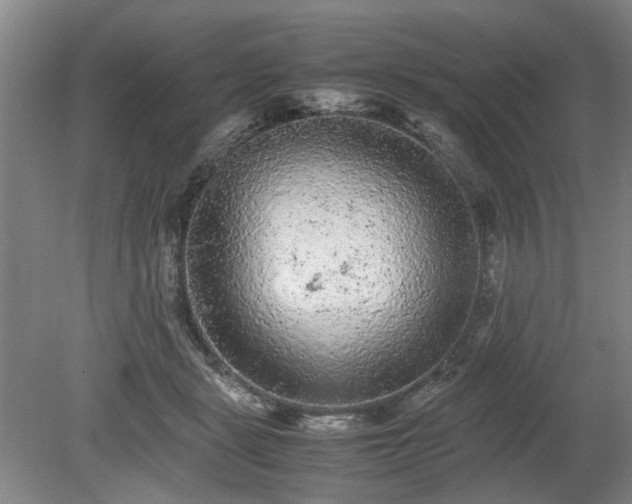 X0000078860461200611201318