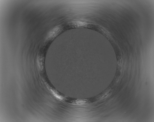 X0000078860462200611201318