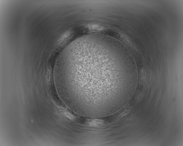 X0000078860463200611201318