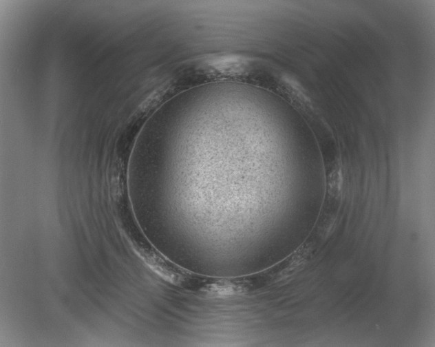 X0000078860464200611201318