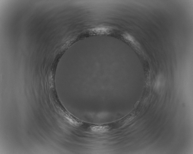 X0000078860465200611201318