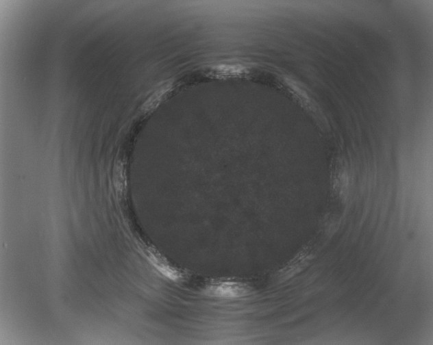 X0000078860467200611201318