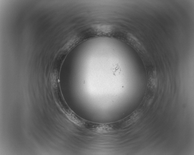 X0000078860468200611201318