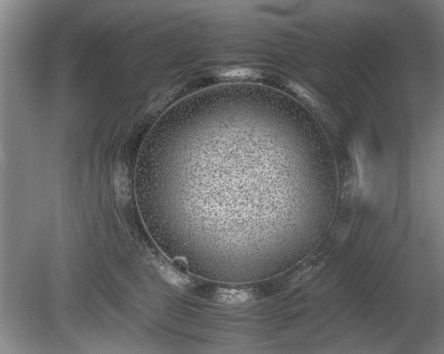 X0000078860469200611201318