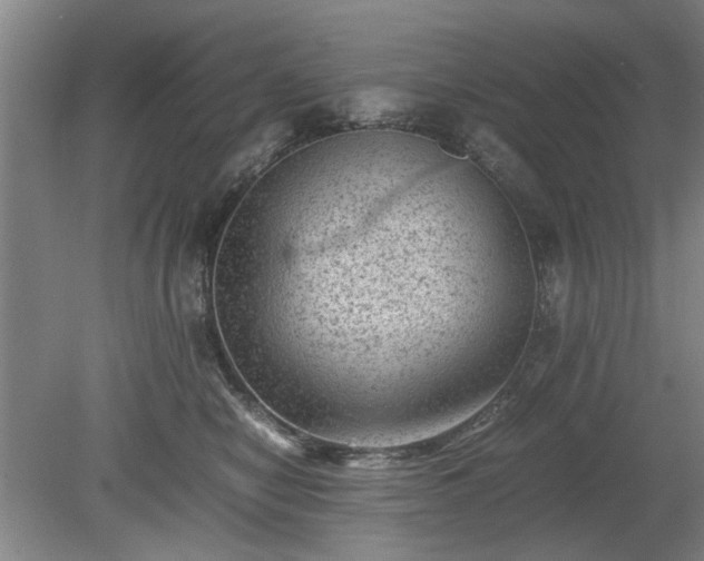 X0000078860470200611201318